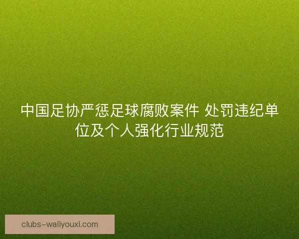 中国足协严惩足球腐败案件 处罚违纪单位及个人强化行业规范